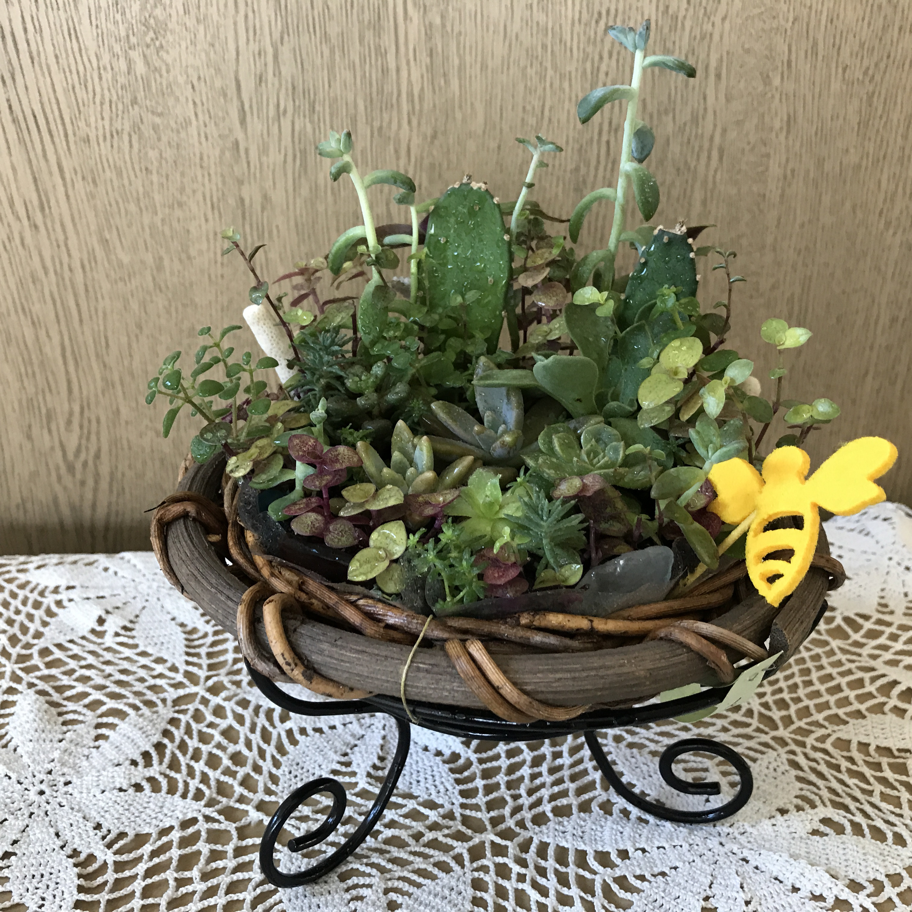 《新作＊多肉植物のギフト》多肉植物＊珊瑚＊シーグラスの夏の思い出（受注制作＊2点限定＊紅葉の多肉も）