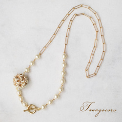 ニュージーランドの白鷺のコインネックレス ネックレス・ペンダント