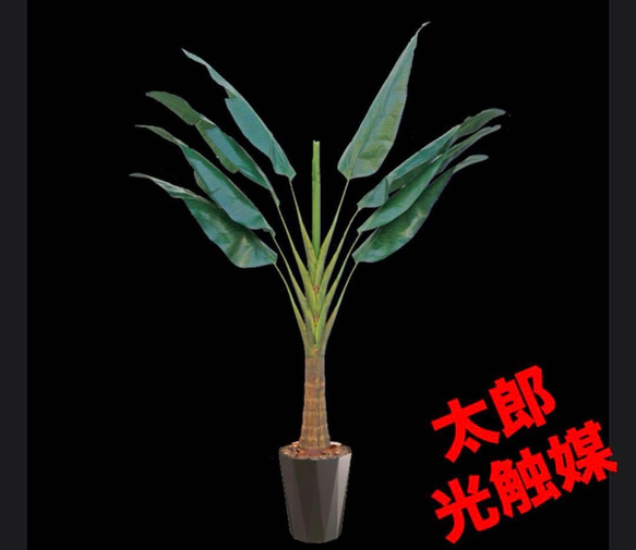 光触媒 人工観葉植物 ウォールグリーン フェイクグリーン トラベラーズ