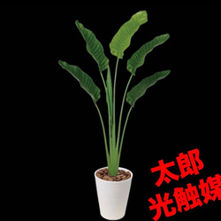 光触媒 人工観葉植物 ウォールグリーン フェイクグリーン トラベラーズ