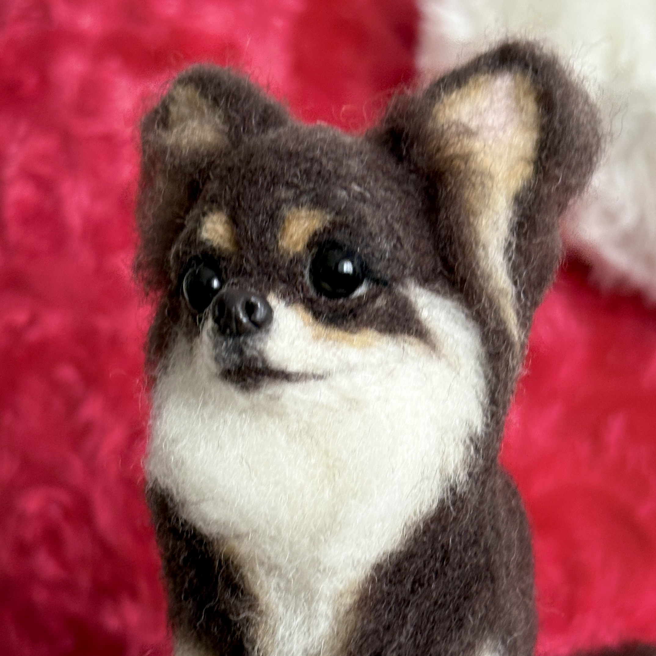 【くりくりお目々】チワワ 【鼻先からおしりまで1１cm】羊毛フェルト チワワ チョコタンプレゼント