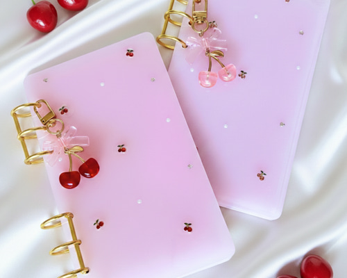 選べる2種】A6 レジン 貯金バインダー 家計管理｜積立貯金・saving