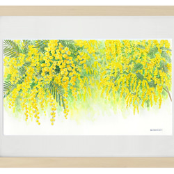 ☆受注制作 ミモザの季節 30×40 ＊額装付き手描き水彩画(額縁2種