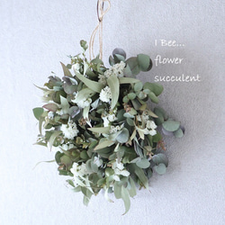 2個セット ユーカリポポラスのミルフィーユリース ドライフラワー I