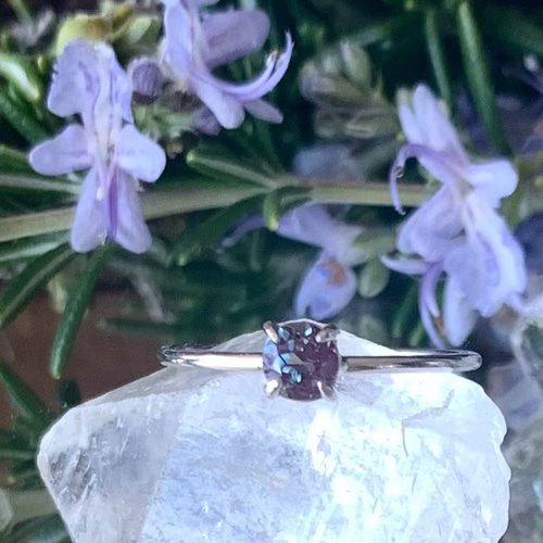 アレキサンドライト リング 4mm silver925 刻印入り 6月の誕生石