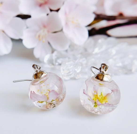 【433】ガラスドームのピアス／イヤリング 春を告げる桜のガラスドーム spring ピアス/イヤリング ピアス（フック