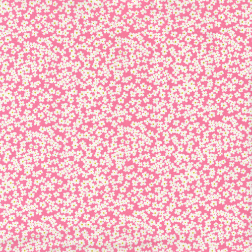 小花が可愛いピンクの小紋 春の訪れを告げる可憐な小町草（コマチソウ）が入荷｜ピンク色の花が