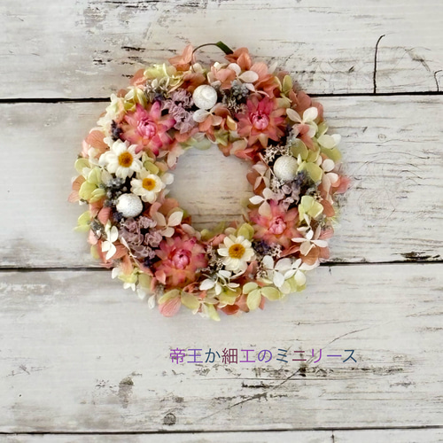 春の風薫る！帝王貝細工のミニリース リース 陽だまりのへや 通販