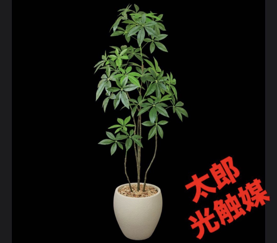 光触媒　人工観葉植物　ウォールグリーン　フェイクグリーン　パキラ3518