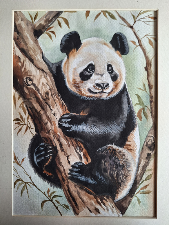 パンダ　絵画　ハンドメイド 水彩画 木登り上手なパンダ 絵画 makochin 通販 20392777｜Creema