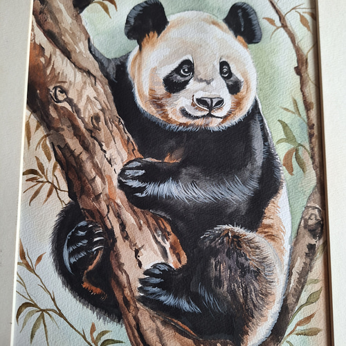 水彩画 木登り上手なパンダ 絵画 makochin 通販 20392777｜Creema