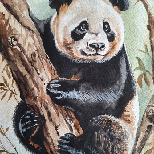 水彩画 木登り上手なパンダ 絵画 makochin 通販 20392777｜Creema