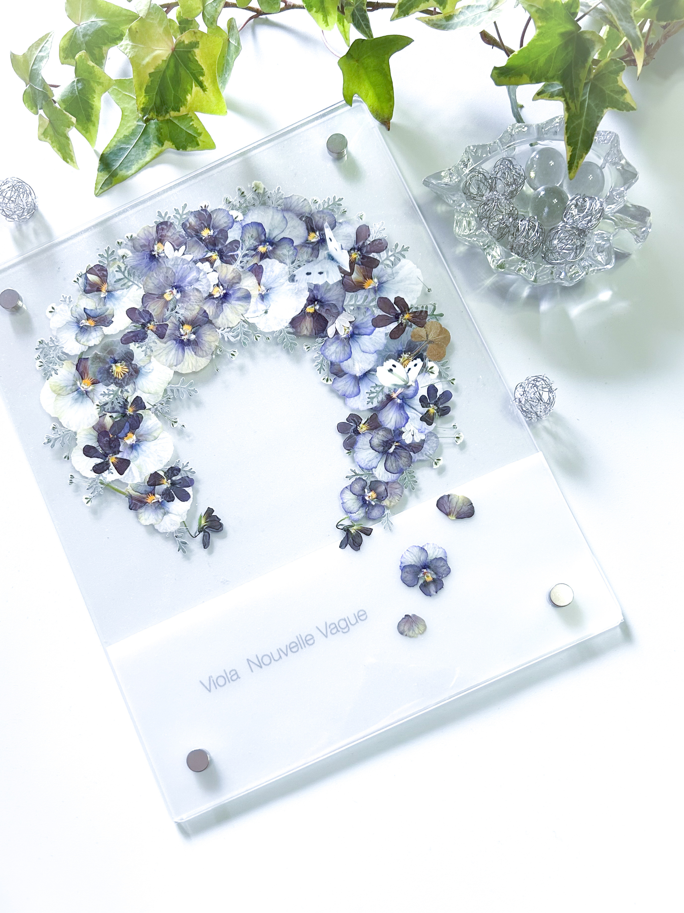 ビオラヌーヴェルヴァーグのホースシューリース