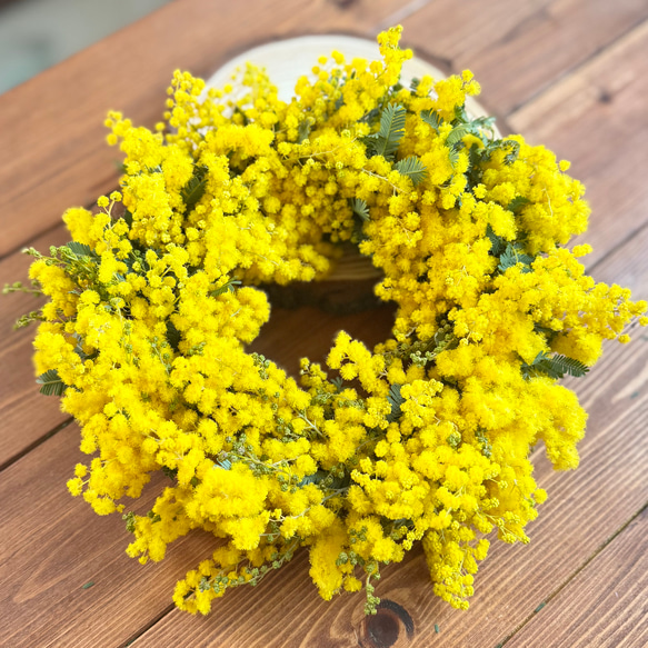 フレッシュミモザのリース（銀葉アカシア）＊春の超早割2026＊ リース