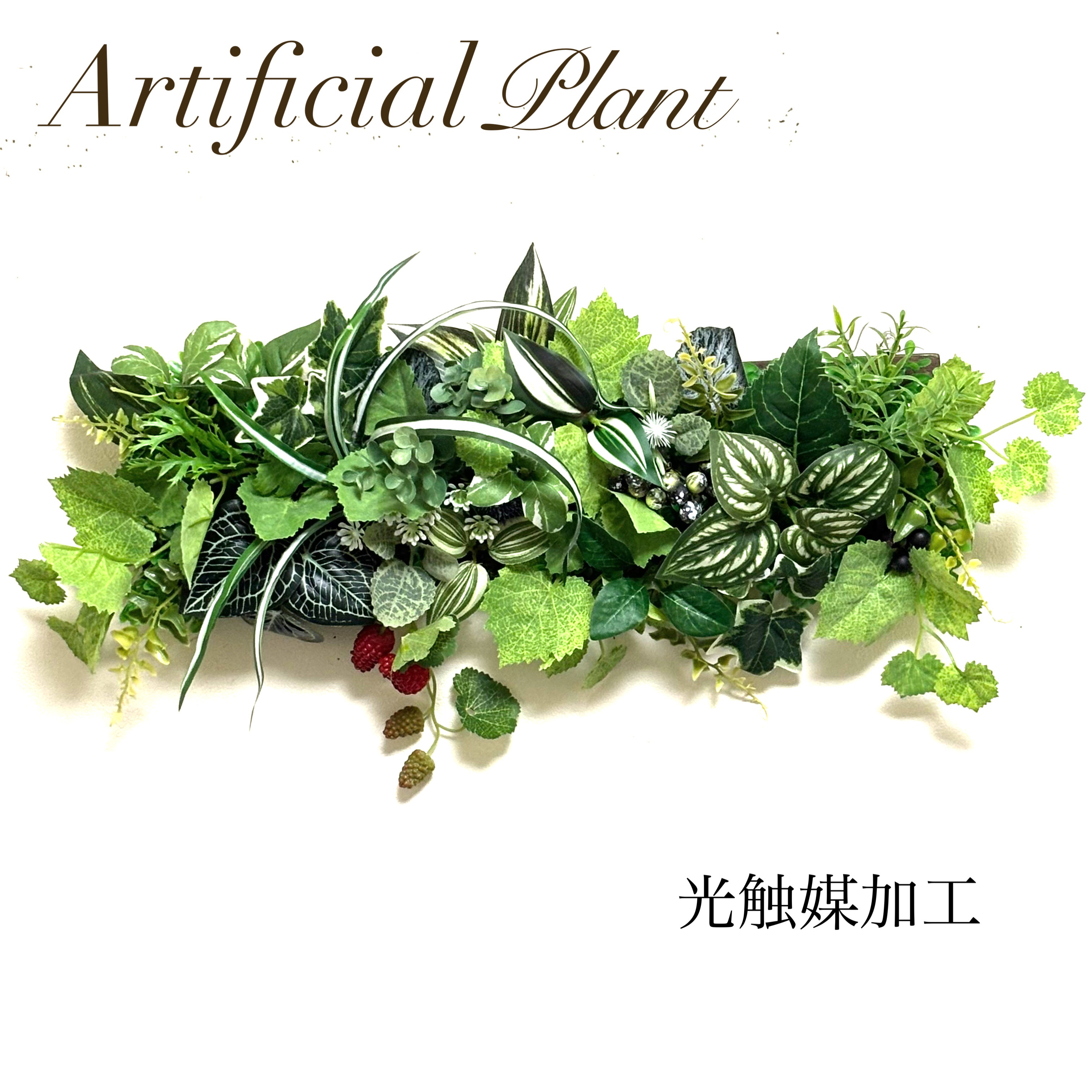 光触媒加工ウォールグリーン♡ラズベリーとグリーンたち♡