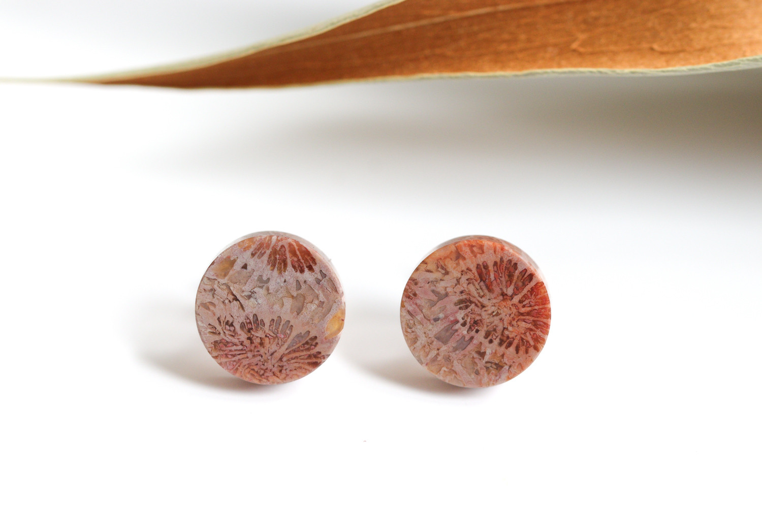 K14｜フォッシルコーラル / 化石珊瑚のスタッドピアス - Terra