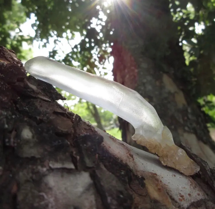 雲南カルサイト