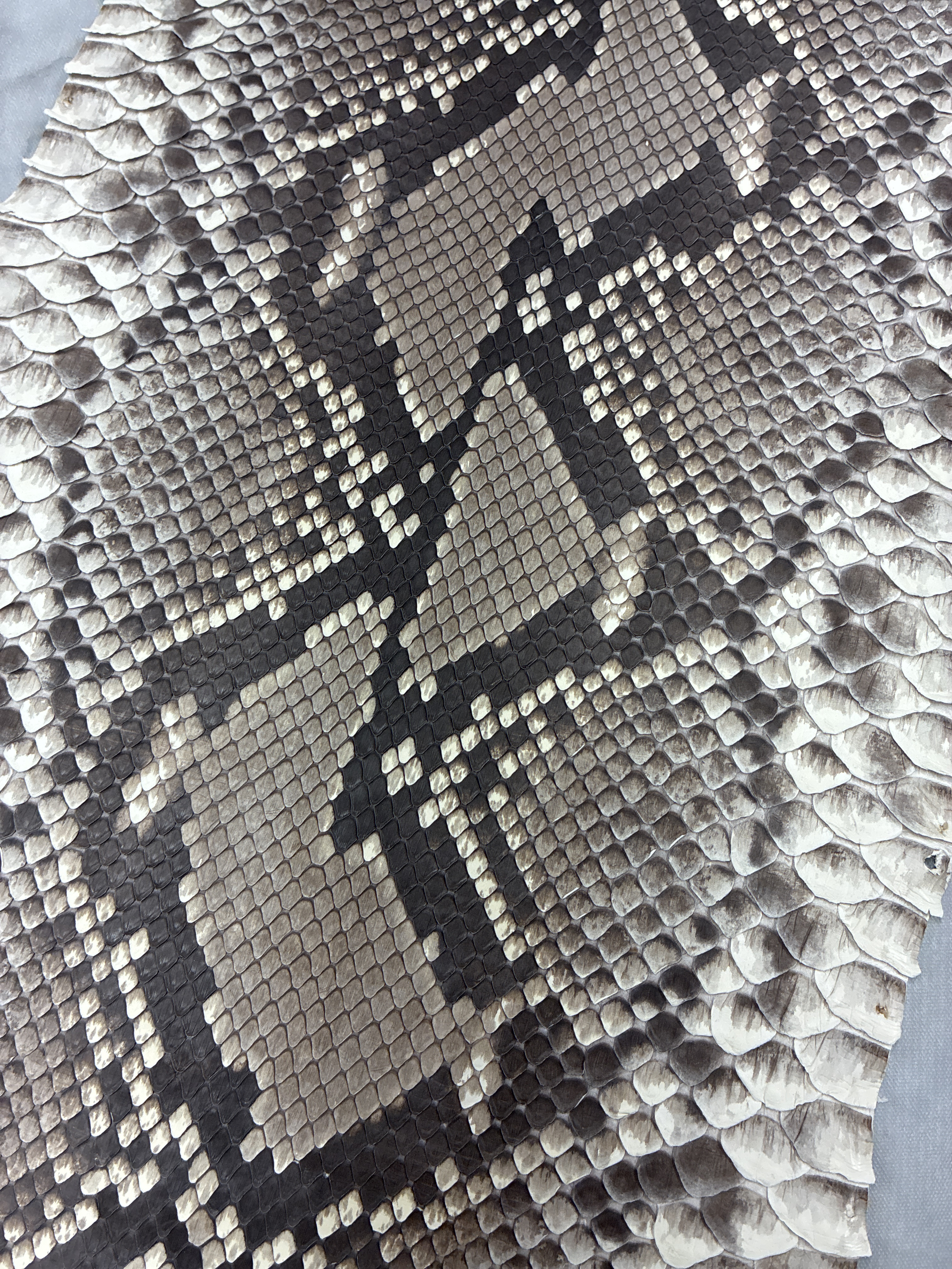 ★お買い得★パイソン ヘビ革 ナチュラルカラー×マット 150cm革_P313.314