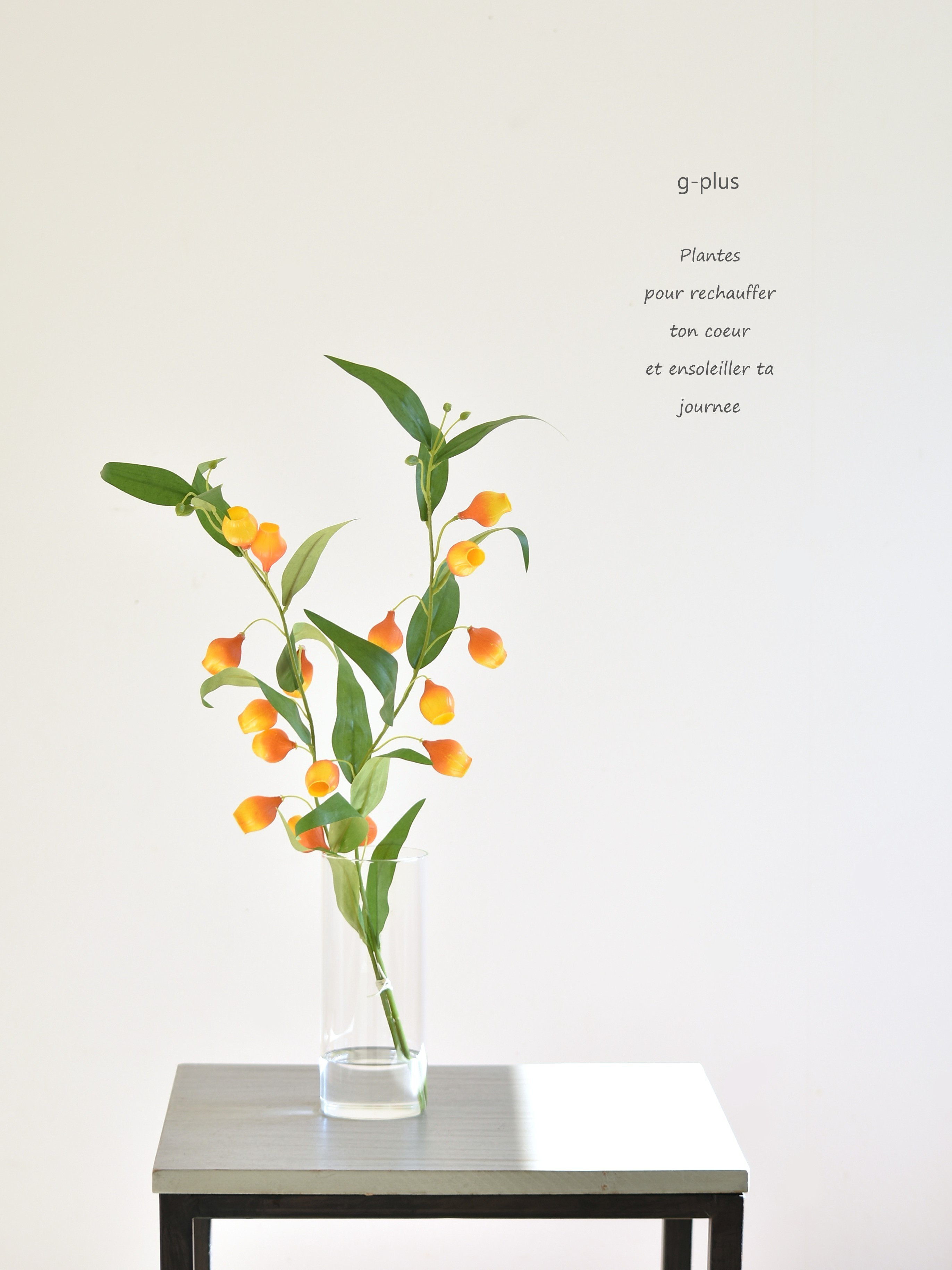 高さ約50ｃｍ　咲き続けるサンダーソニア　マジカルウォーター　癒しのフラワーインテリア