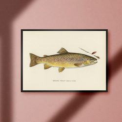 カリフォルニアパブリック カリフォルニア共和国 熊 サイン ランプ