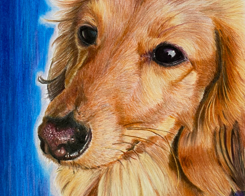 色鉛筆画 似顔絵 A4サイズ オーダー ペット 犬 猫 動物 絵画 ププ 通販