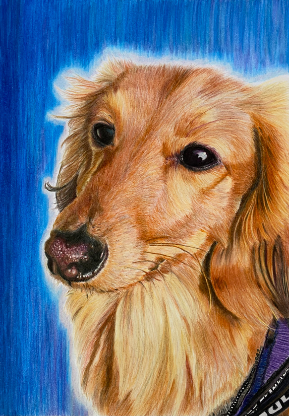 色鉛筆画 似顔絵 A4サイズ オーダー ペット 犬 猫 動物 絵画 ププ 通販