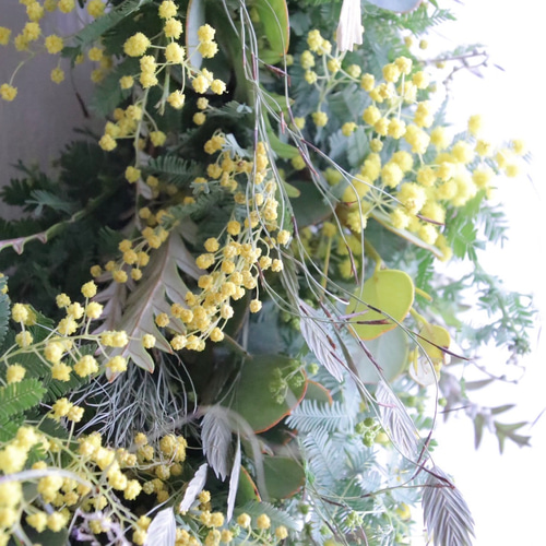 受注制作】ミモザの三日月リース リース chainon 通販 20402608