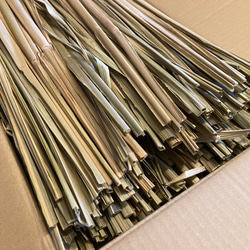 お飾り用〈中〉】乾燥真菰(まこも)葉［長さ125cm］300g 上質品 その他