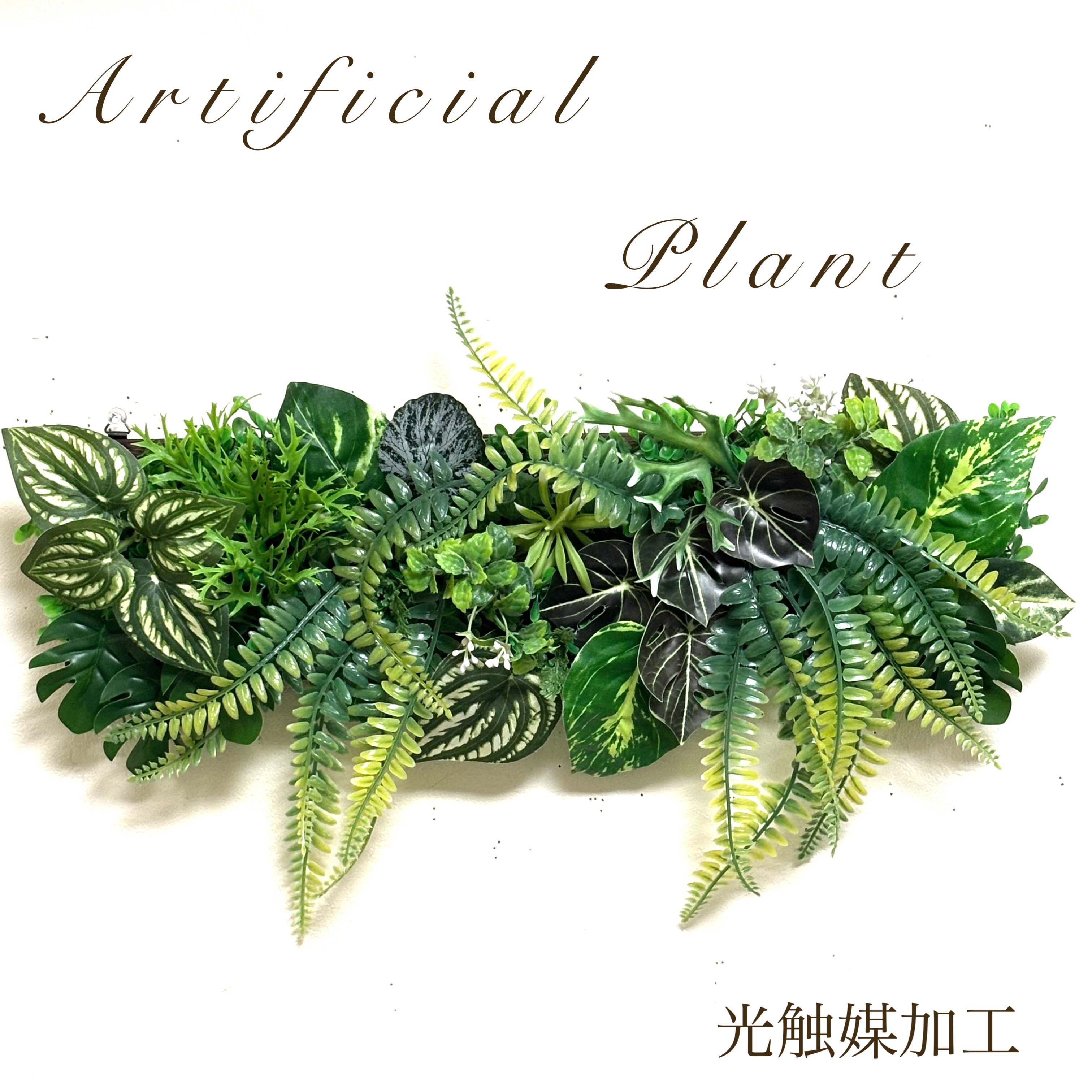 光触媒加工ウォールグリーンY3