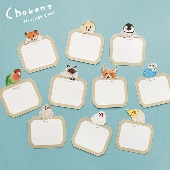 ちょこんとミニカード 1枚目の画像