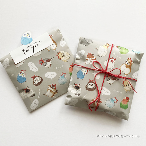 平袋 おしゃれリボン 5枚目の画像