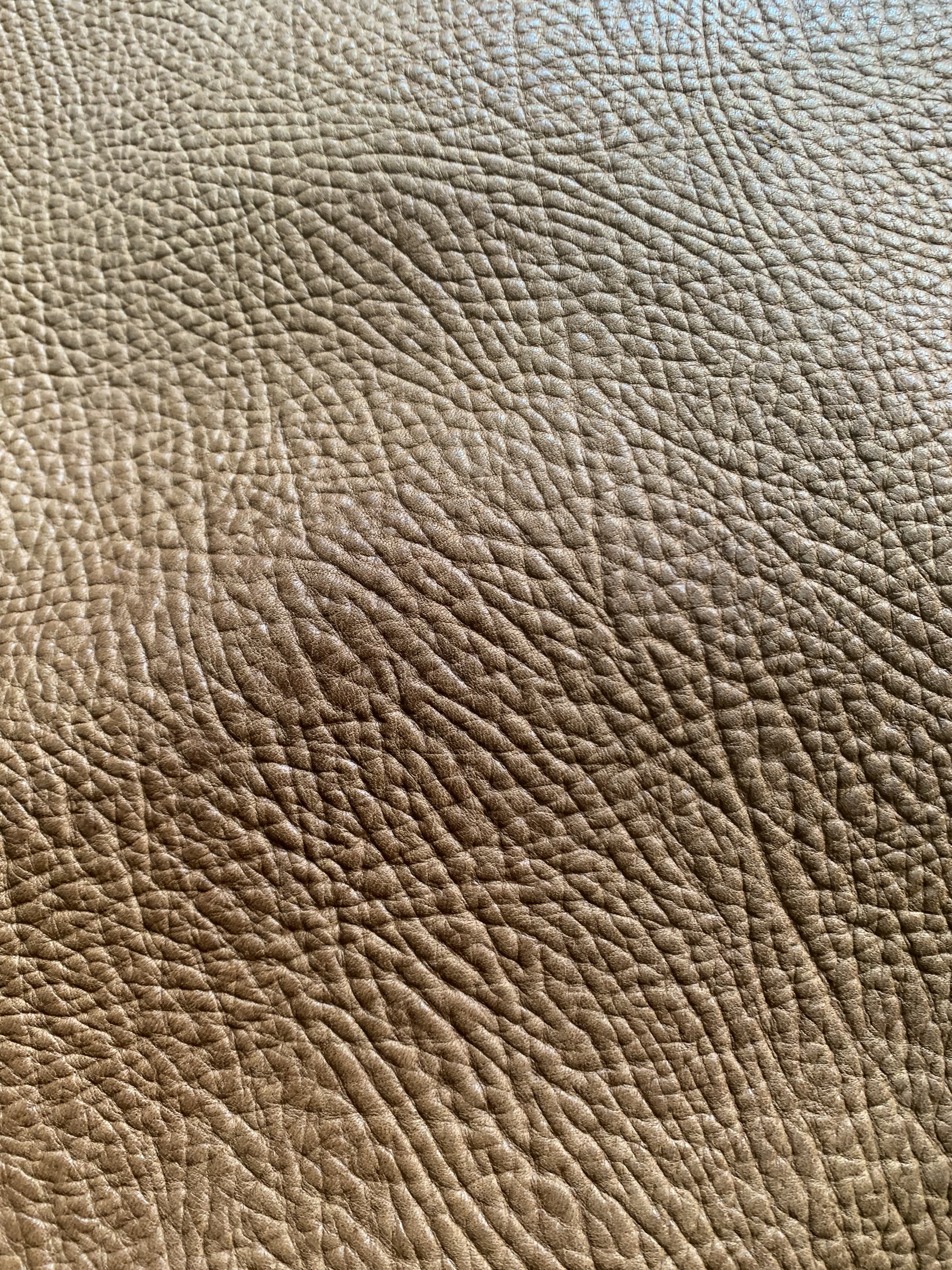 イタリア製牛ヌメショルダー シュリンク  C-35