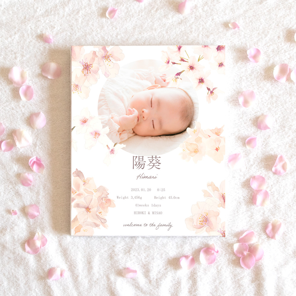 桜の命名書  オーダーメイド 写真入り 名入れ  ベビーポスター キャンバス