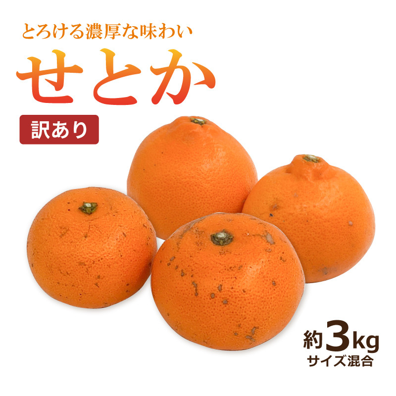 【予約】【送料無料】せとか〈訳あり〉約３kg　※2月中旬頃より順次発送開始予定