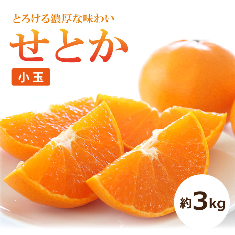 【予約】【送料無料】せとか〈小玉〉約３kg　※2月中旬頃より順次発送開始予定