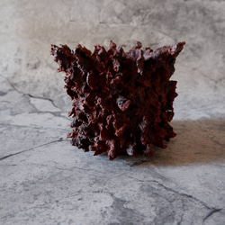 3.5号赤鬼鉢412　塊根植物　多肉植物　アガベ　盆栽　植木鉢　作家鉢　鉢台　沖縄 3枚目の画像