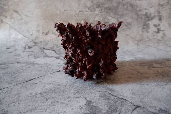 3.5号赤鬼鉢412　塊根植物　多肉植物　アガベ　盆栽　植木鉢　作家鉢　鉢台　沖縄 3枚目の画像