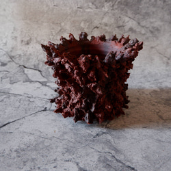 3.5号赤鬼鉢412　塊根植物　多肉植物　アガベ　盆栽　植木鉢　作家鉢　鉢台　沖縄 1枚目の画像