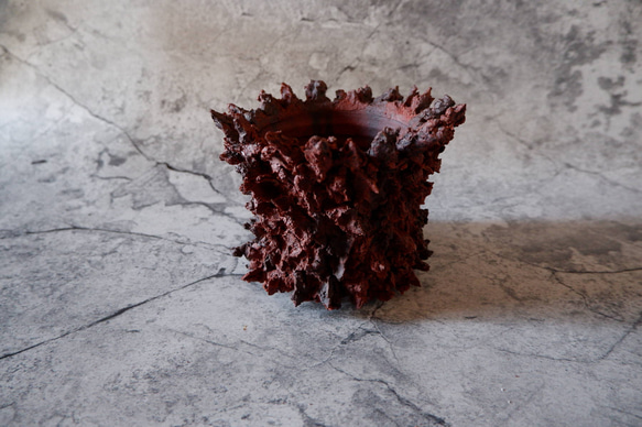 3.5号赤鬼鉢412　塊根植物　多肉植物　アガベ　盆栽　植木鉢　作家鉢　鉢台　沖縄 1枚目の画像