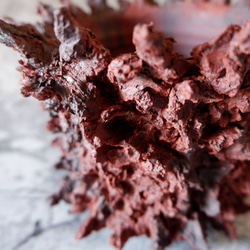 3.5号赤鬼鉢412　塊根植物　多肉植物　アガベ　盆栽　植木鉢　作家鉢　鉢台　沖縄 2枚目の画像