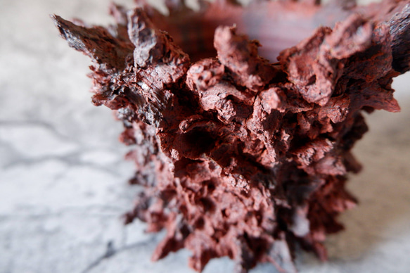 3.5号赤鬼鉢412　塊根植物　多肉植物　アガベ　盆栽　植木鉢　作家鉢　鉢台　沖縄 2枚目の画像