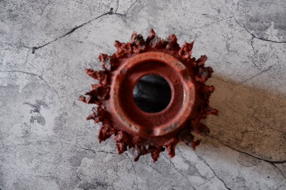 3.5号赤鬼鉢412　塊根植物　多肉植物　アガベ　盆栽　植木鉢　作家鉢　鉢台　沖縄 7枚目の画像