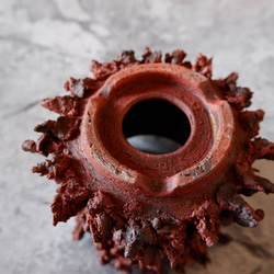 3.5号赤鬼鉢412　塊根植物　多肉植物　アガベ　盆栽　植木鉢　作家鉢　鉢台　沖縄 6枚目の画像