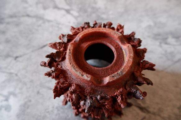 3.5号赤鬼鉢412　塊根植物　多肉植物　アガベ　盆栽　植木鉢　作家鉢　鉢台　沖縄 6枚目の画像