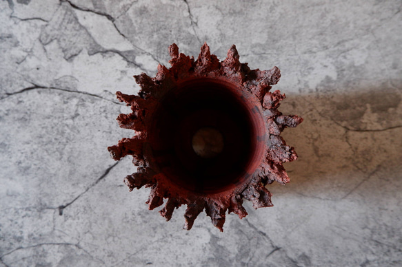 3.5号赤鬼鉢412　塊根植物　多肉植物　アガベ　盆栽　植木鉢　作家鉢　鉢台　沖縄 5枚目の画像