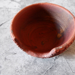 4.5号赤土裂紋爬虫類シェルター417　昆虫　陶器製　作家もの　沖縄 6枚目の画像