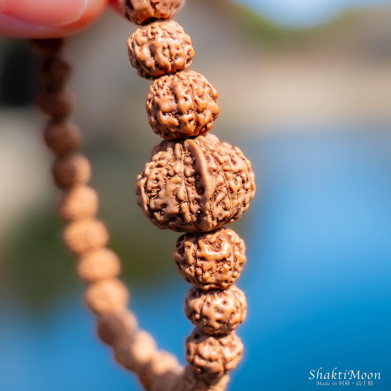 レア希少！1点もの！程よいボリューム感！9面×ガネーシャルドラクシャ×チクナ74！健康と繁栄のお守り！商売繁盛・ビジネス