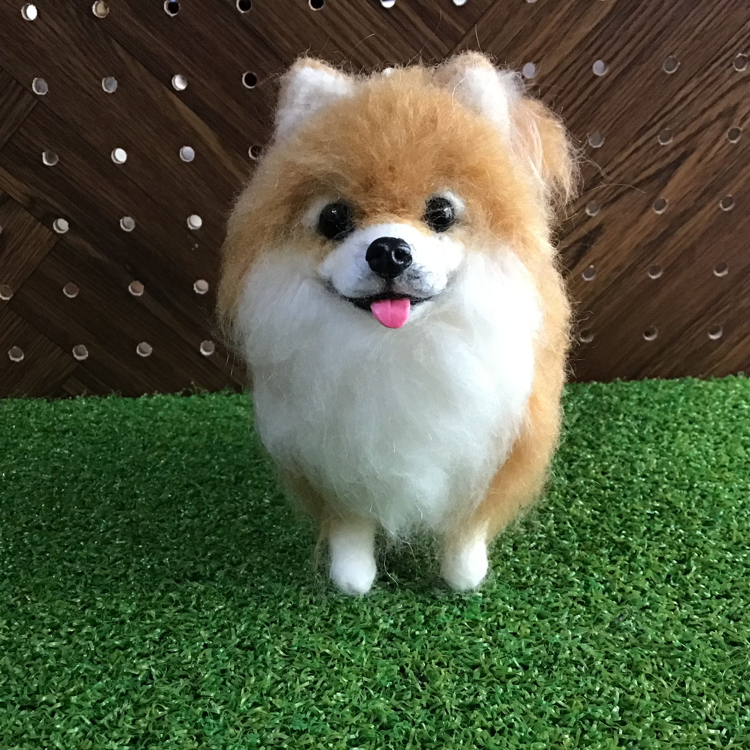 ポメラニアン（立ちポーズ）