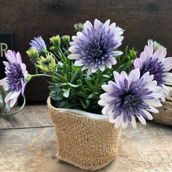 カラフルピンク陶器鉢♡盆栽♡宮島五葉松♡おしゃれ♡ アートフラワー