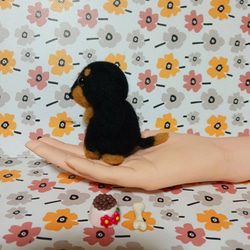 羊毛フェルト ダックスフンド ぬいぐるみ 4枚目の画像